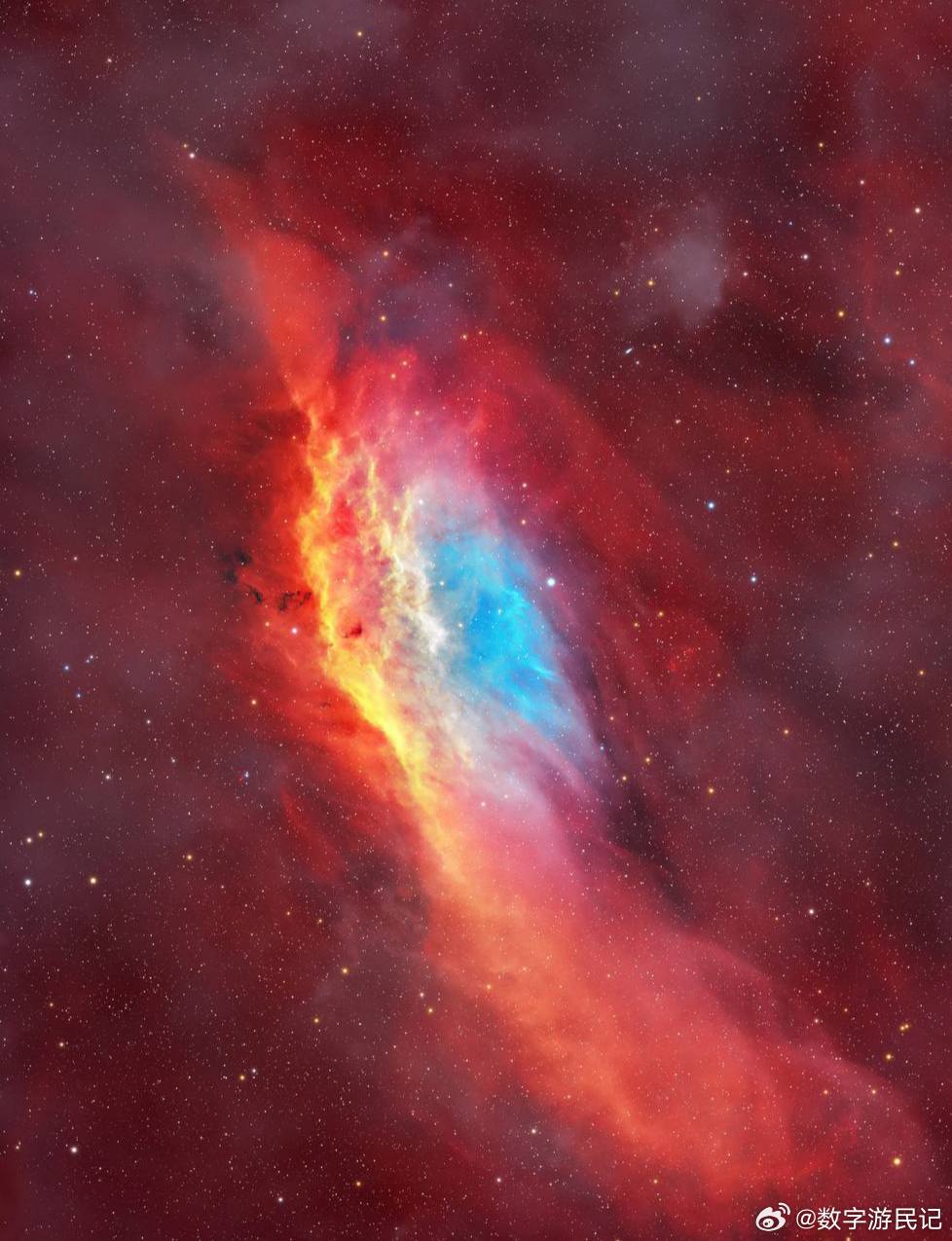 塔兰图拉星云的生动拼贴！这是大麦哲伦云中的30 Doradus——一个相距16万
