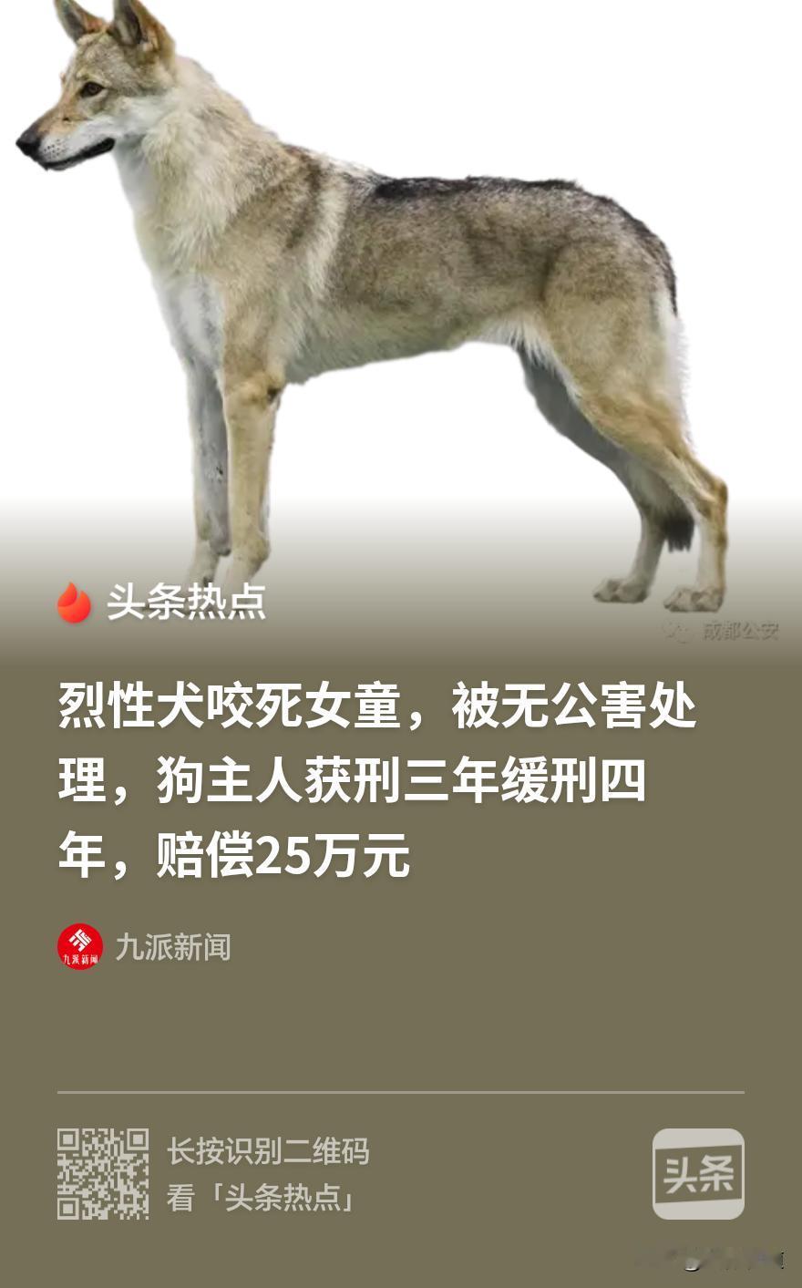 “这样养狗是杀人！”凶猛捷克狼犬被拴在开放式窑洞，挣脱铁链，咬死路过的两岁女童，