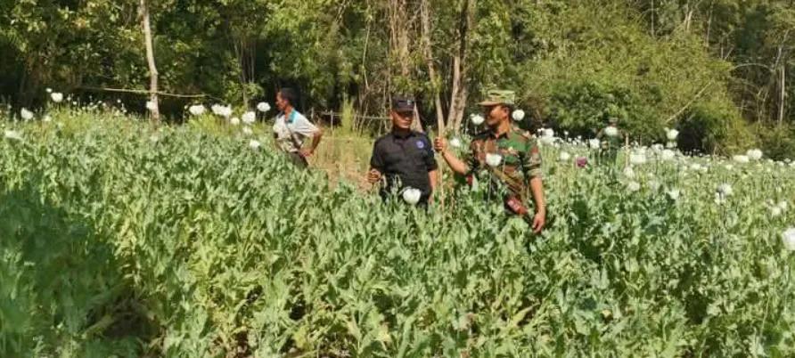 缅甸德昂民族解放军（TNLA）控制的掸邦北部贵慨镇石灰窑村，TNLA销毁了当地居