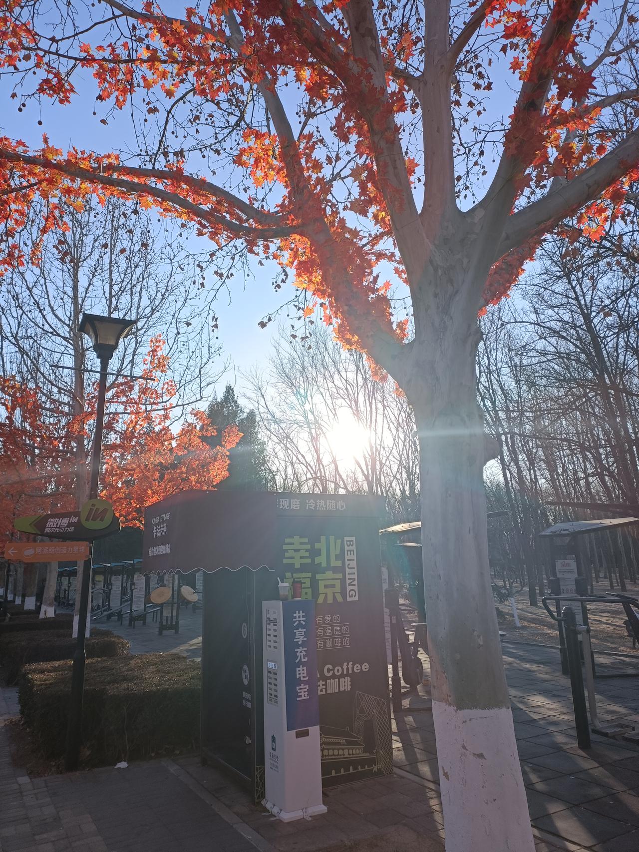 今年冬天的不同 今年冬天去北京朝阳公园，感觉和以往大不一样。以前冬天公园里人不多