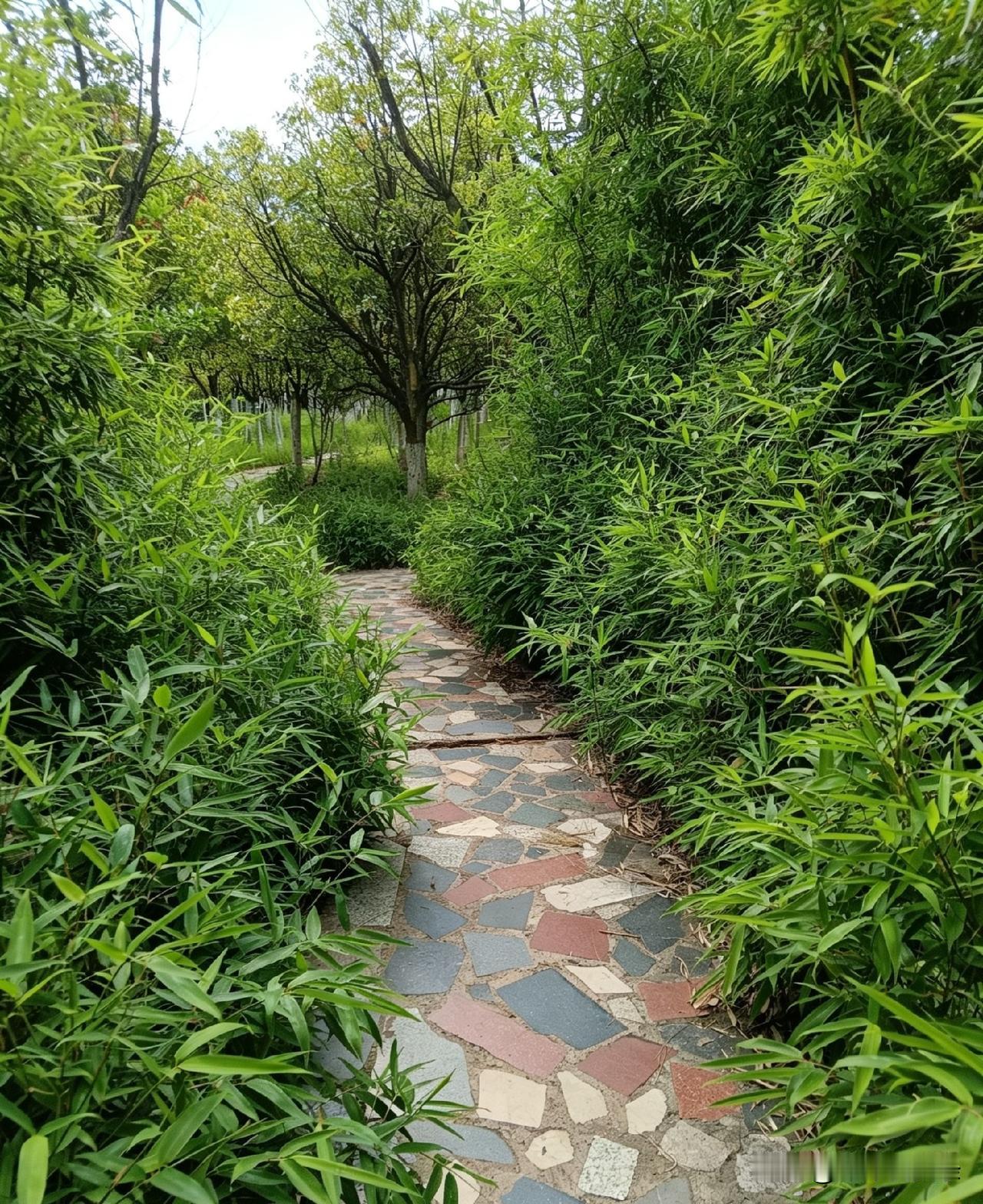这张图片就是去昆明留下的，中国第一佛塔的一个小巷道图片，环望整片景致，中华第一佛