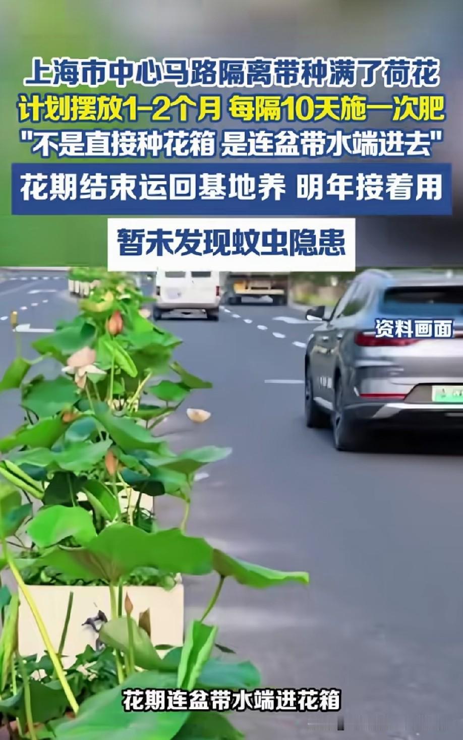 确实赏心悦目[赞]