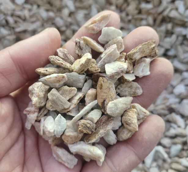 阳痿早泄，简单 2 味药，通络振痿，益肾固精，10 个人用了 9 个好！


在