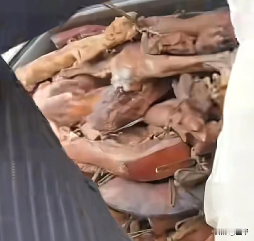 大家有没有发现，农村现在的土匪都挺猖狂的？


不知道大家有没有发现，以前吧，要