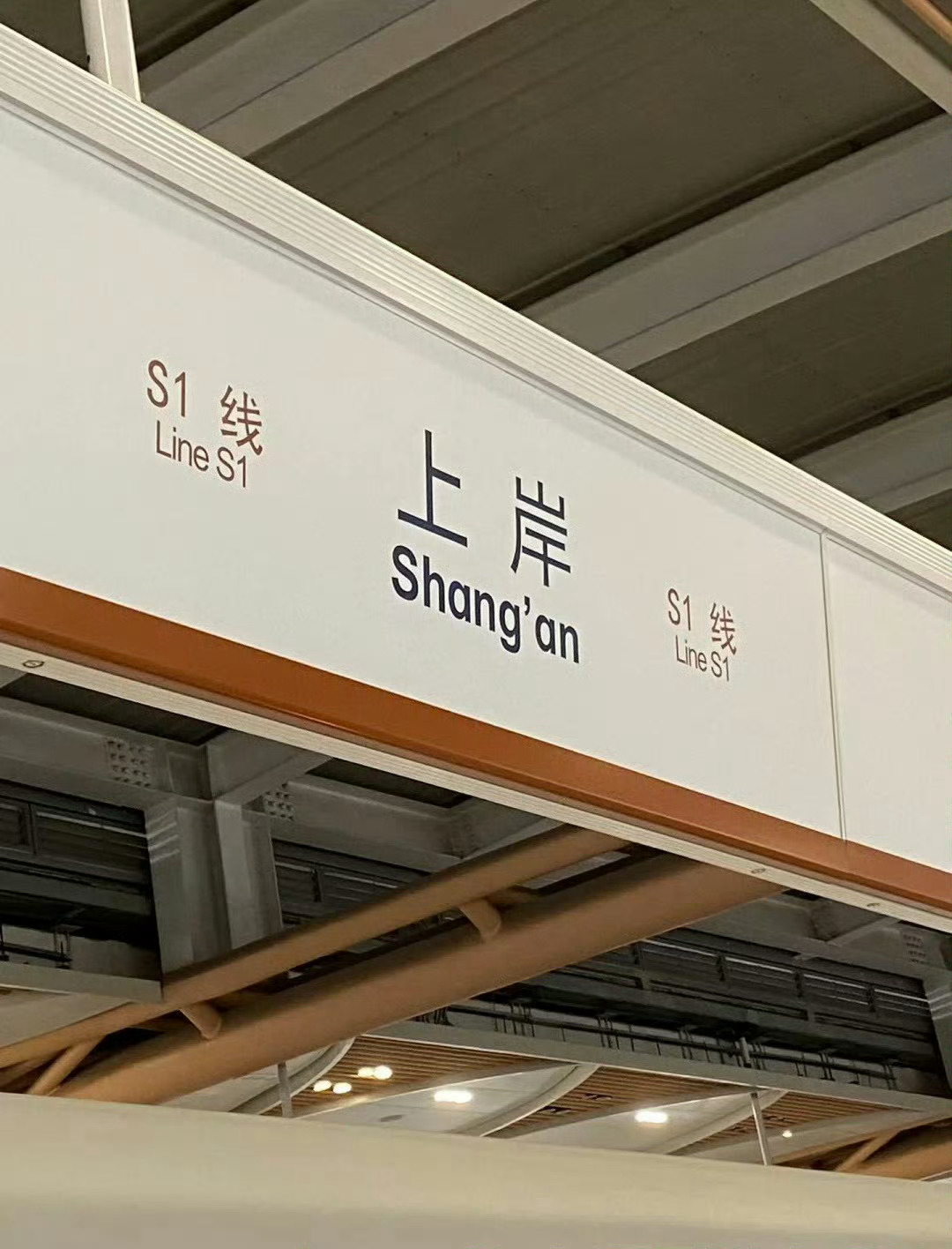 看到即是上岸！ ​​​