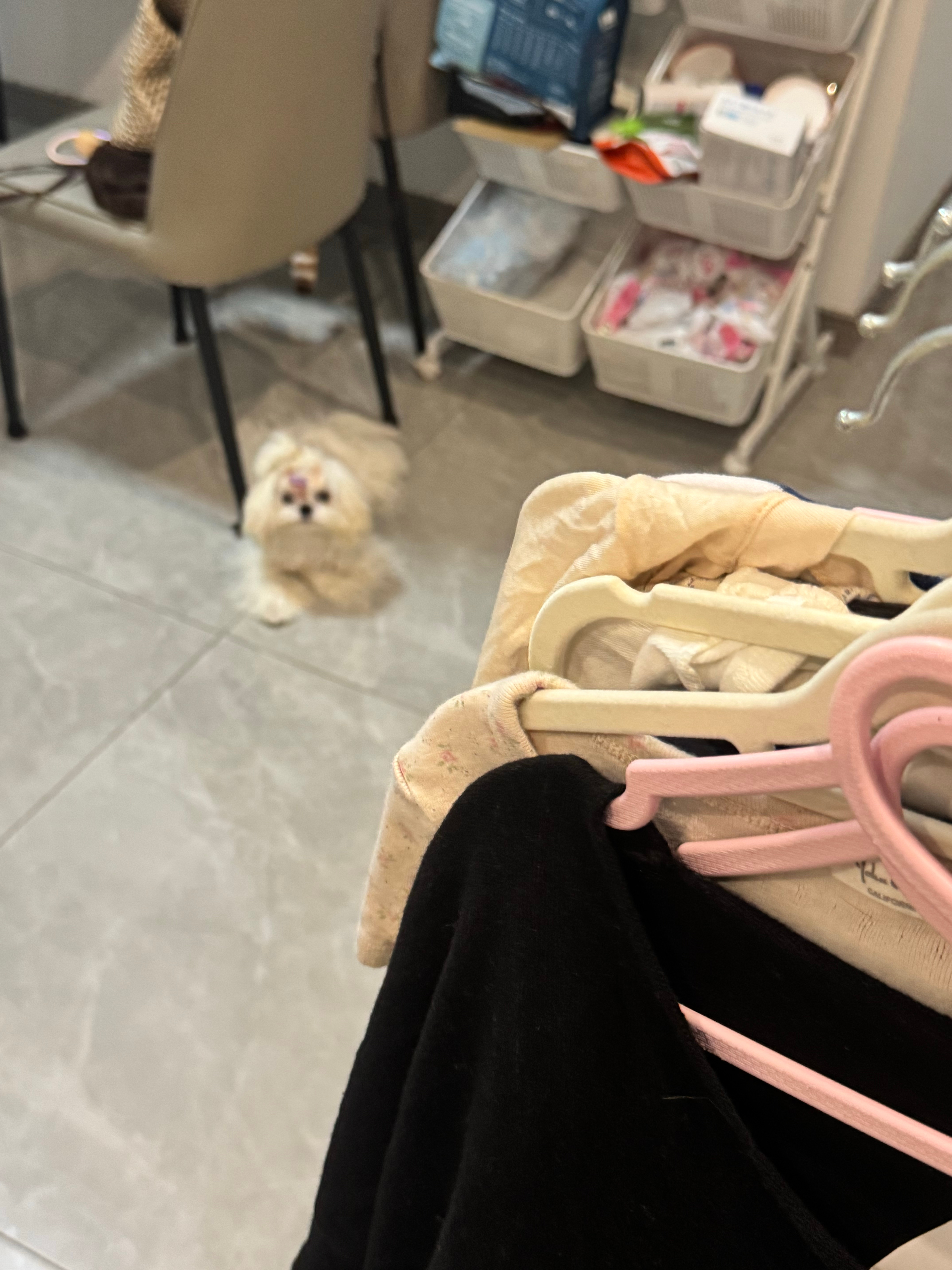 超级乖的小木 ​​​