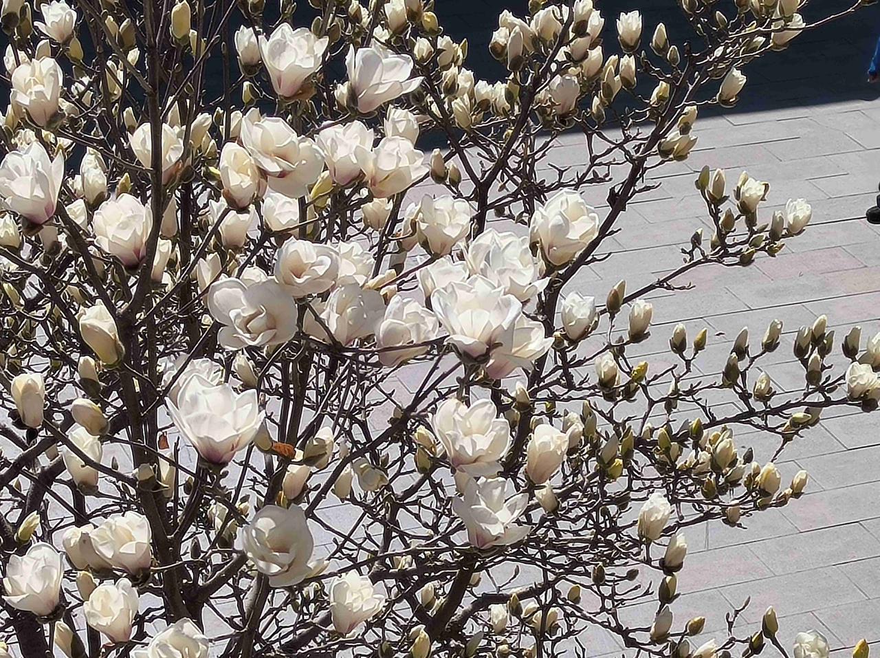 我的今日状态：🐯虎虎生威
我这里的天气：☀️晴天