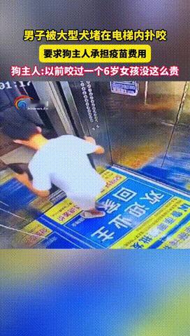 “必须严惩！”山东临沂，一男子乘坐电梯时，一只未拴绳的大狗突然闯进，二话不说扑向