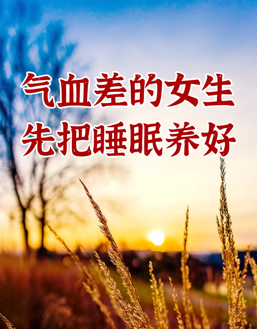 听好了！！养气血的前提是睡觉😪