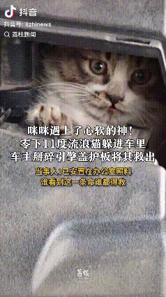 “太有人情味了！”吉林省吉林市，在零下11℃的严寒中，一只流浪猫为了取暖，钻进了
