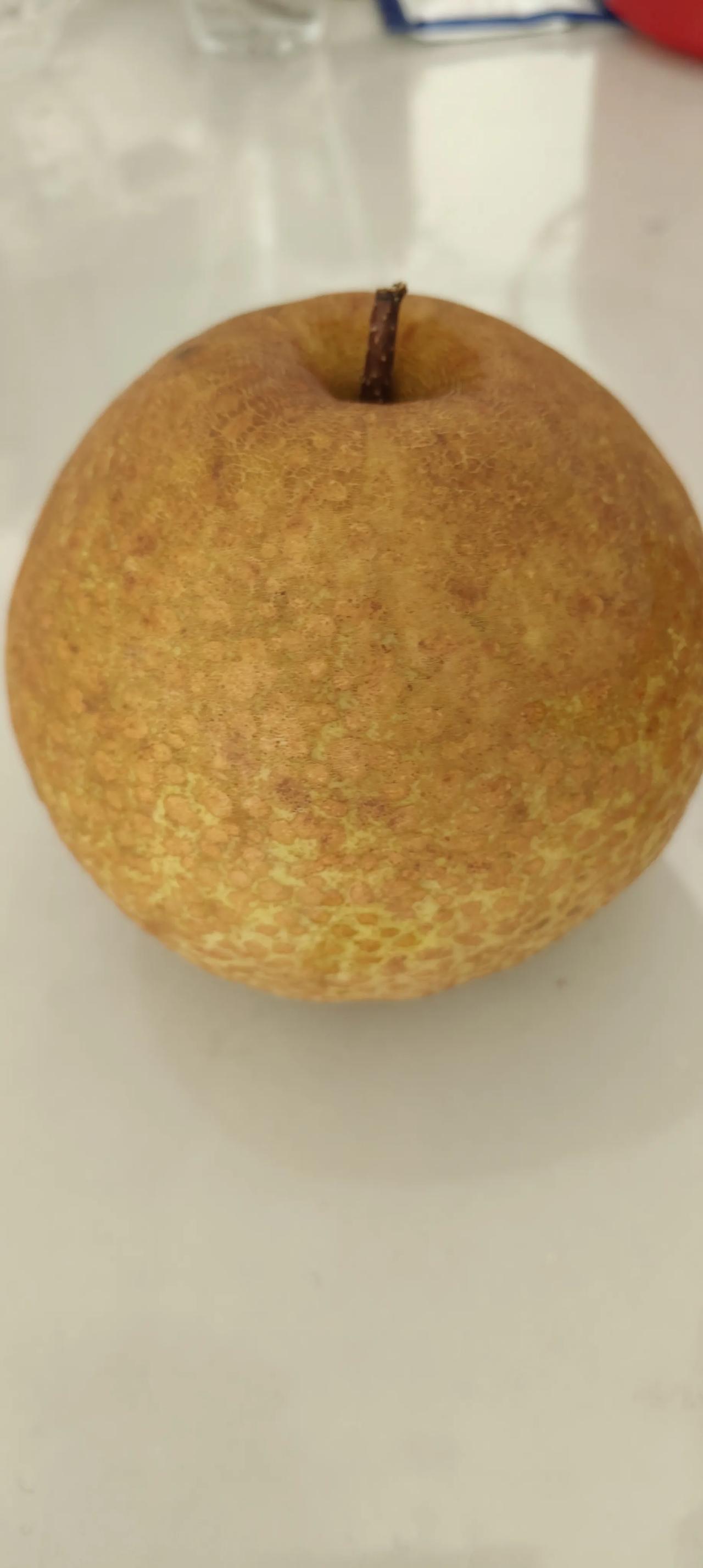 沁园春•天井洋贡梨抒怀(外一首)
李家宁(中国)
碧玉垂枝，琥珀凝霜，翠掩画屏。