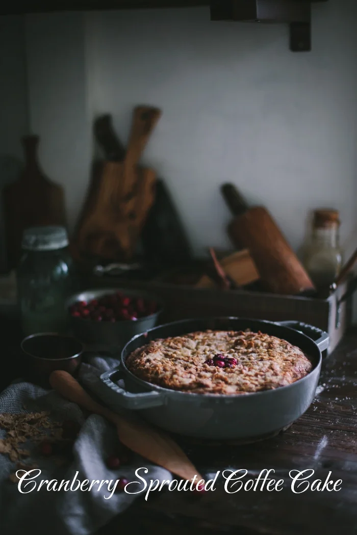 蔓越莓咖啡蛋糕 ｜Cranberry  Coffe Cake 🍰