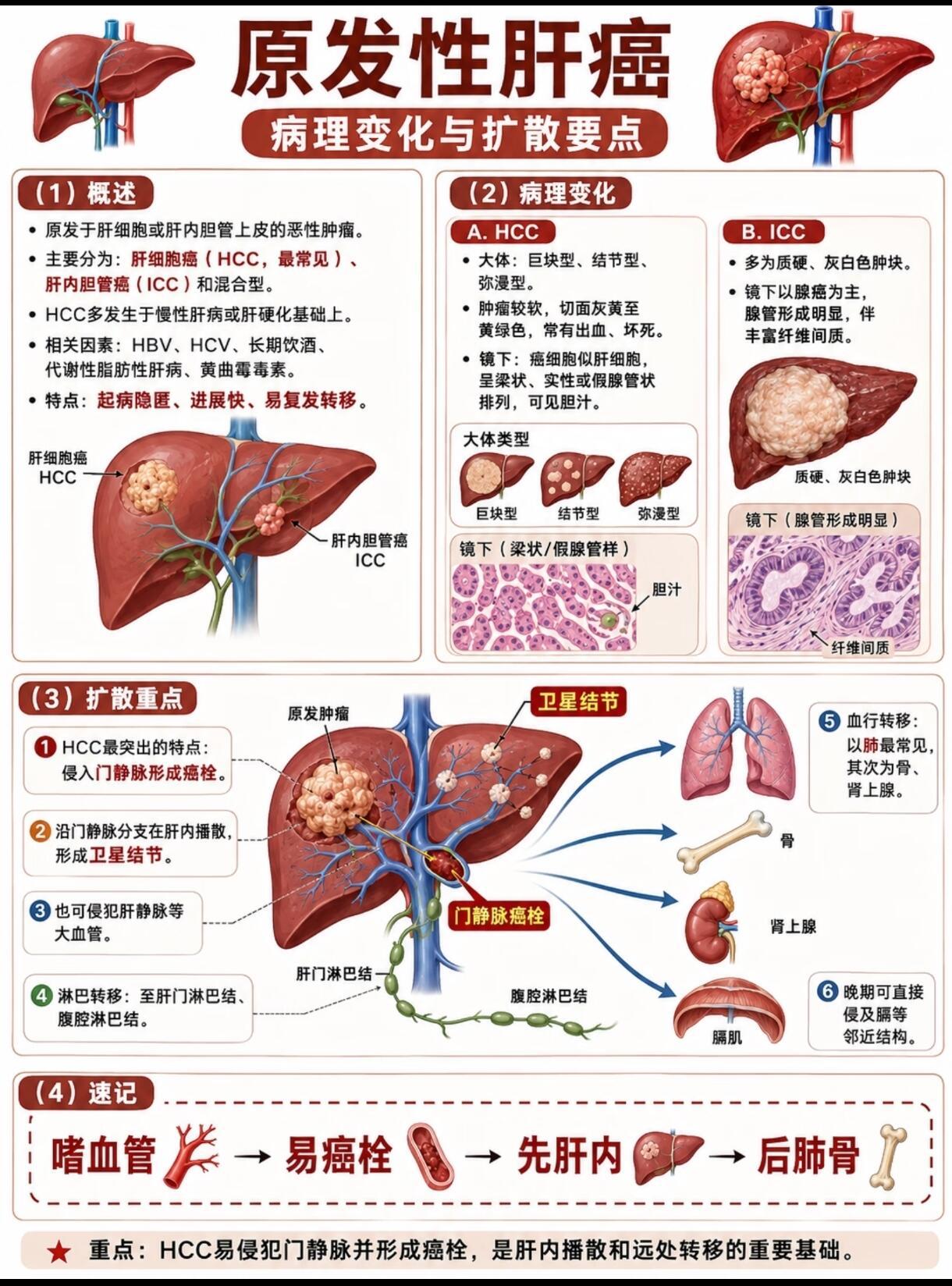 肝癌早期几乎没有明显症状本篇为纯健康科普，不制造焦虑，只为让大家更了解肝癌的发展