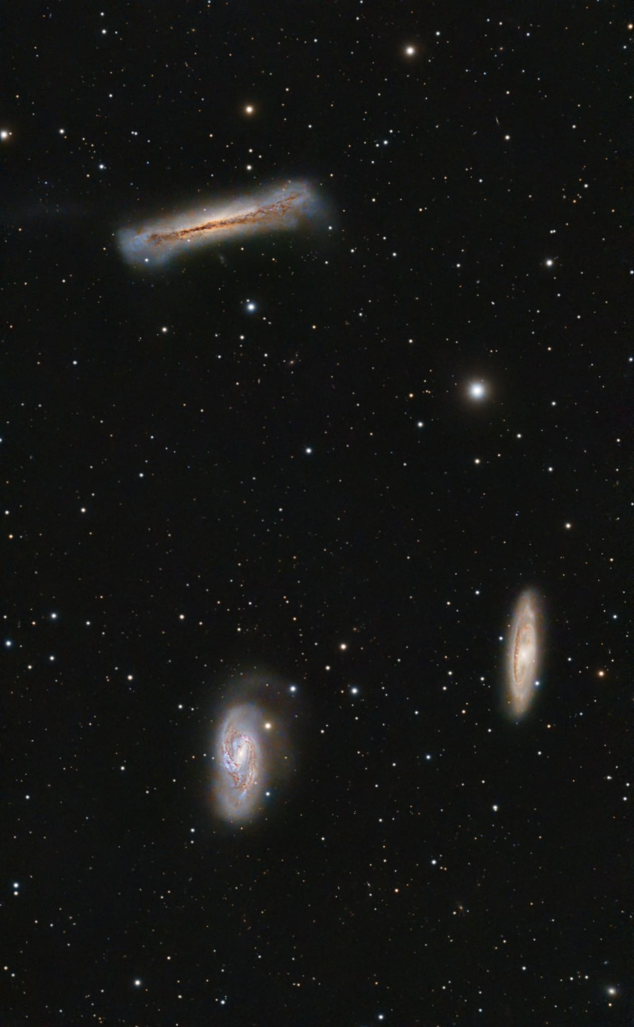 “我叫Sylvain Blaevoet，今年 39 岁，住在法国北部的...