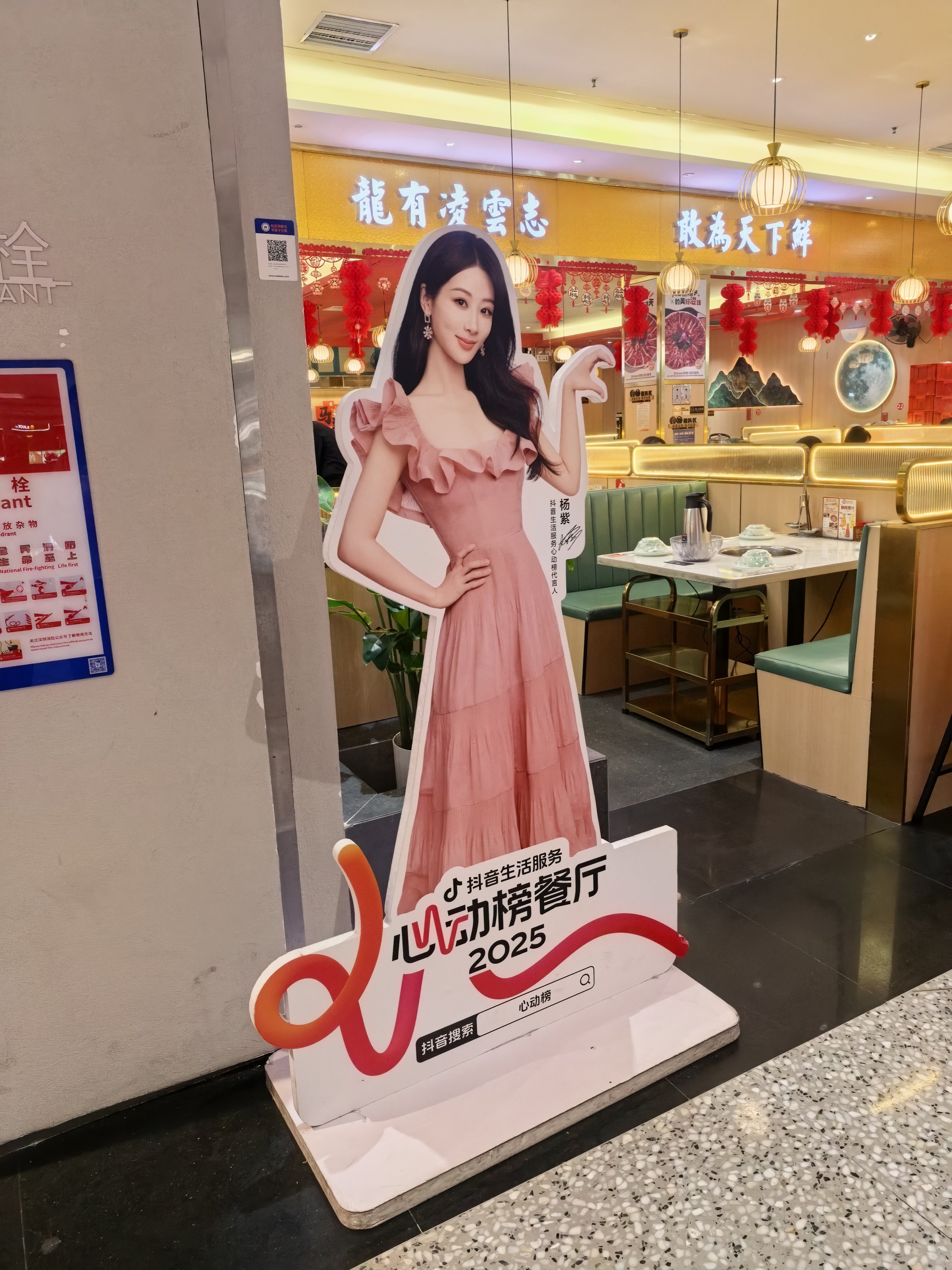 紫紫，又见面了 