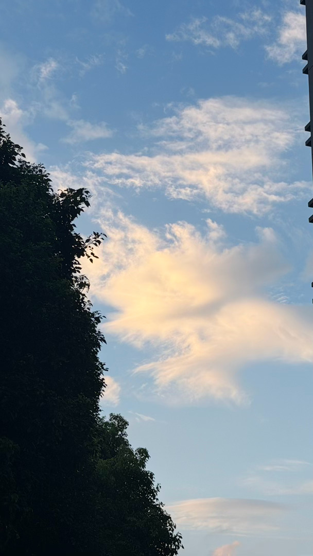 “一年好快，浅秋，薄念。有些人来了去了，有些人近了远了……是喜是忧，这一年又过去