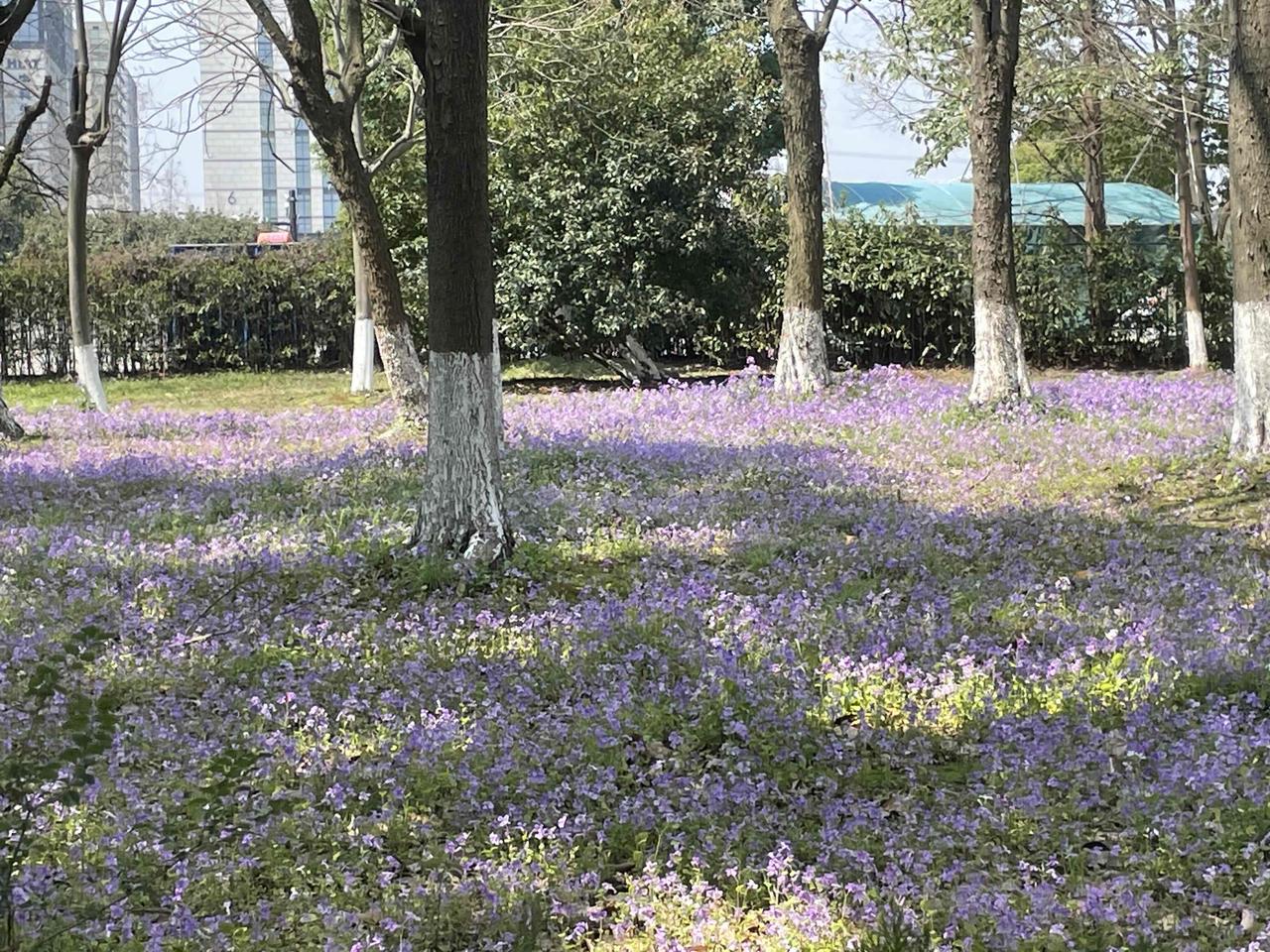 记录我的2026下班去公园逛逛，呼吸呼吸新鲜空气