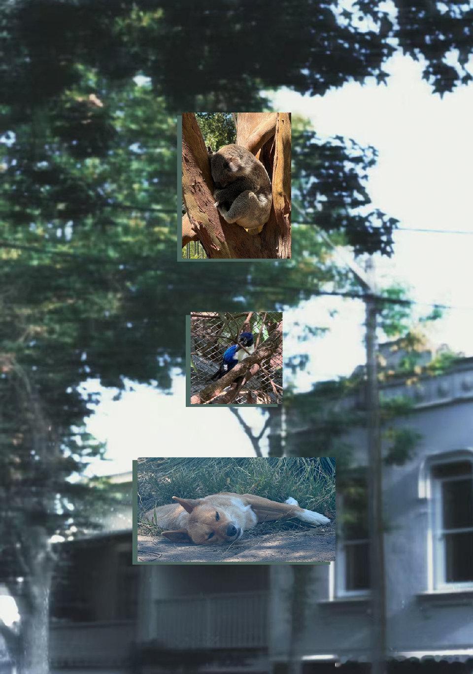 贺峻霖打卡自己的广告屏 小贺的旅游明信片已送达～还打卡了自己的大屏，从照片可以感