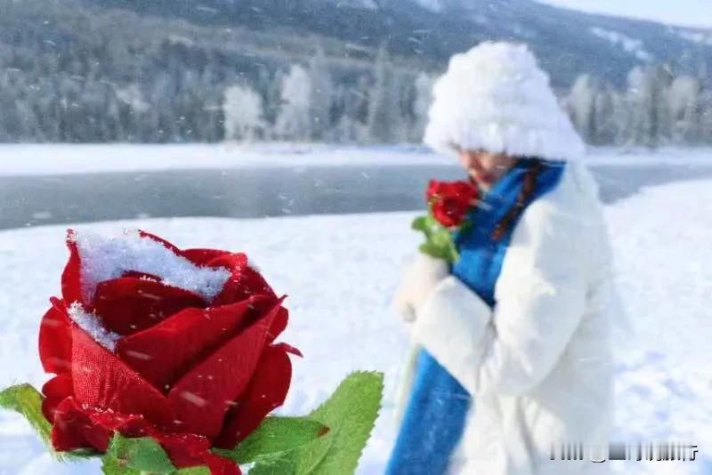 大七座头等舱轻奢双湖8日
好像有雪的地方，生活都会浪漫不少
📍喀纳斯·12月2