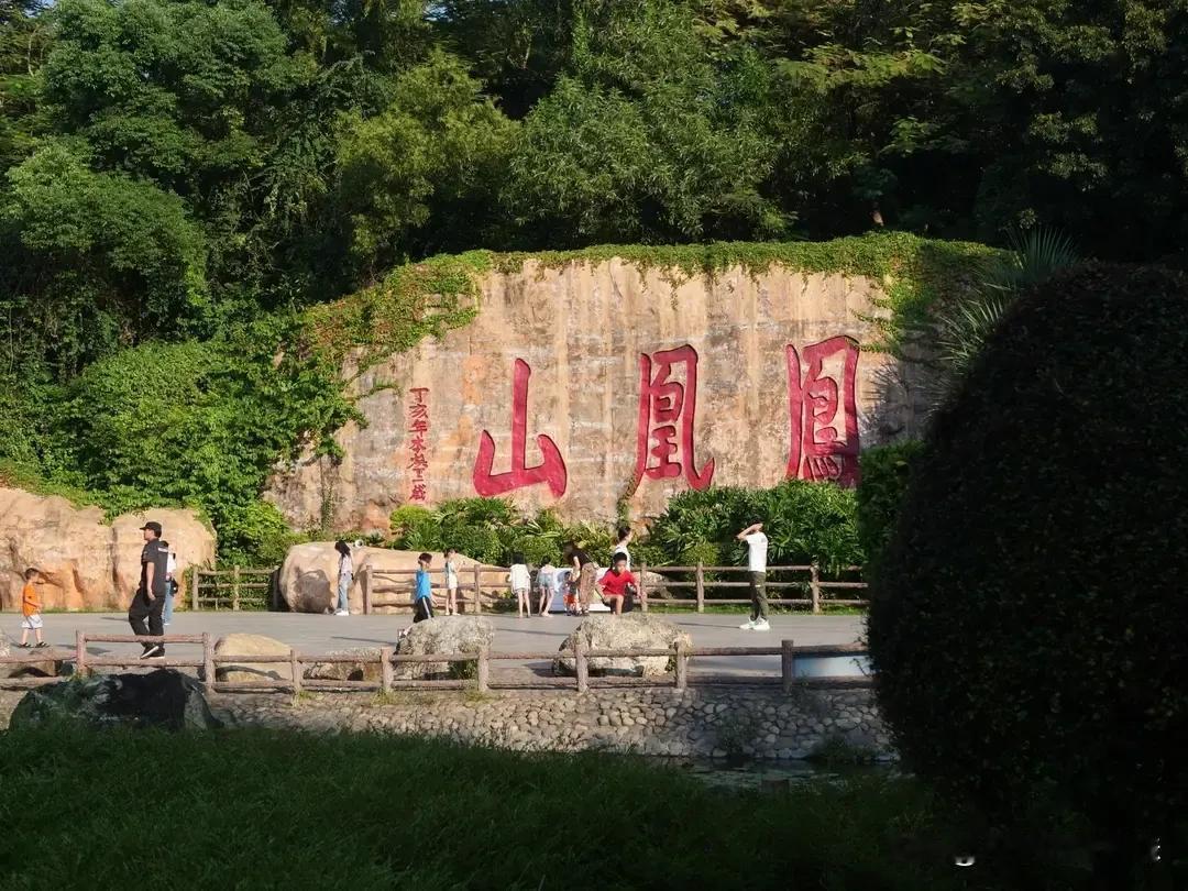 深圳，这座充满活力的国际都市，美食令人陶醉，而福永凤凰山也有着独特的吸引力。
 