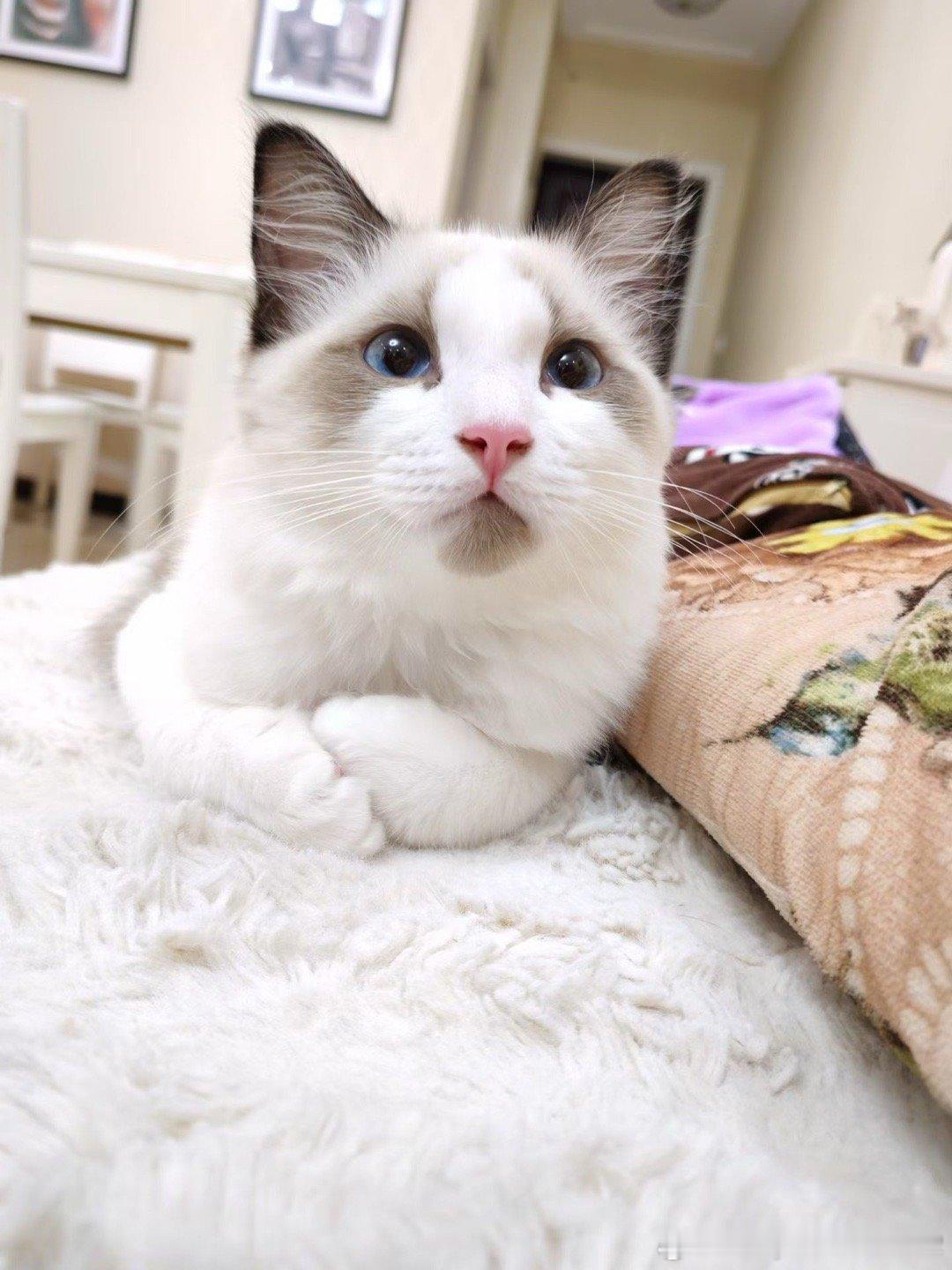 看不见🙈我看不见🙈！直接屏蔽就行了呗，不好的我直接一投一个！ 