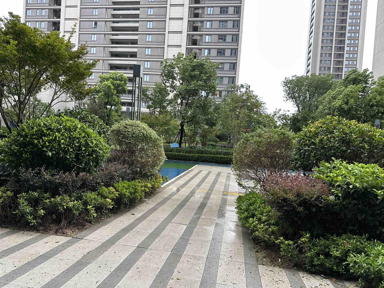“白海豚”来了！

一整天，风猛烈地刮着，雨不停地下着，上午想去买菜都不敢出门。