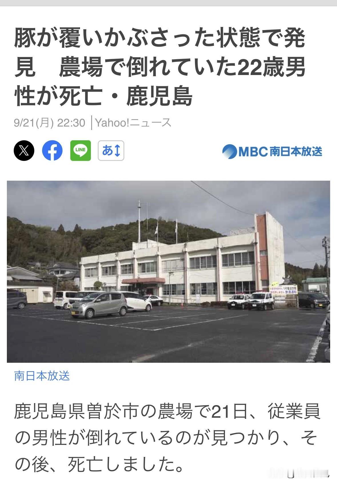 昨天下午4点多，鹿儿岛农场一位22岁男性从业员，在一个宽约60厘米、深约2米的猪