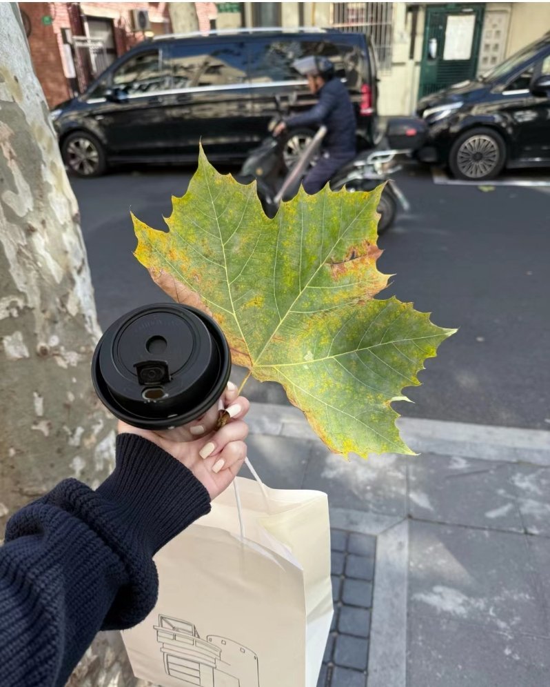爱是转账 爱是有房有车 恋爱脑只配一身债务 . 