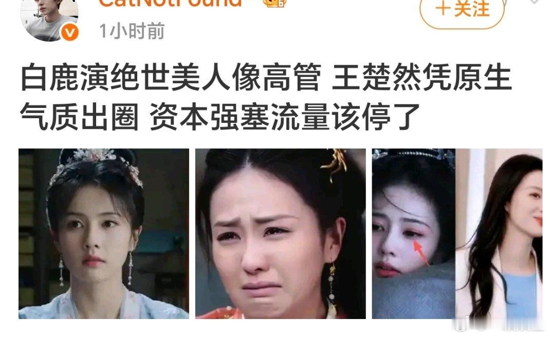 高管没惹好吗～ 