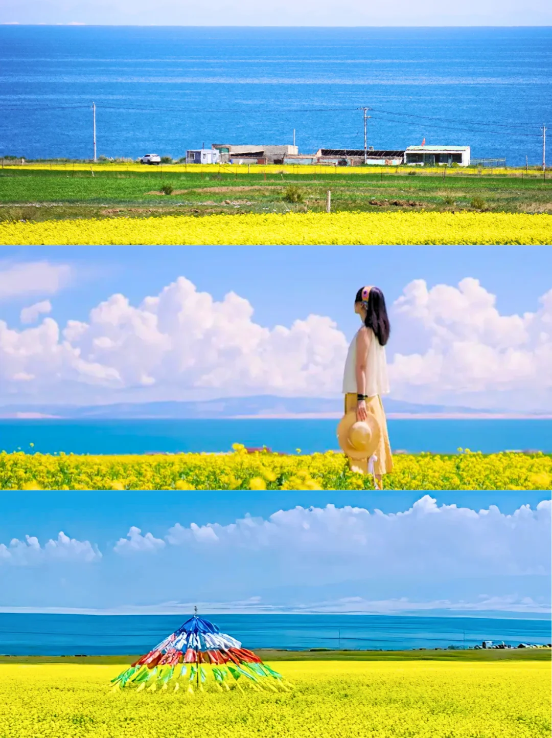 7月青海封神 | 20℃ + 限定油菜花海太治愈