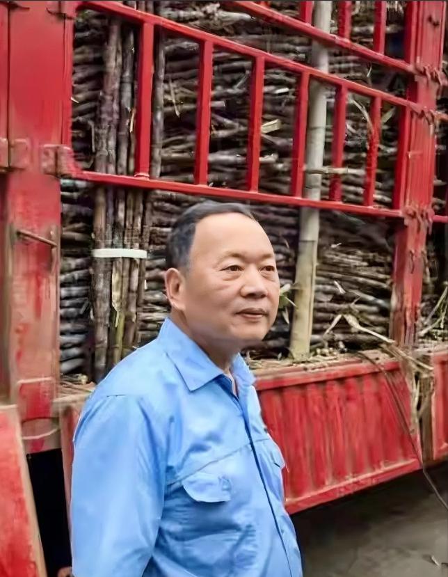 “甘蔗运来我们都要！”广东化州一糖厂主动收购蔗农滞销果蔗，几百辆货车排队两三公里
