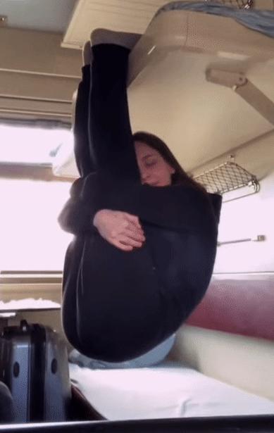 刀口舔血，虎口夺食
随风潜入夜，自挂东南枝