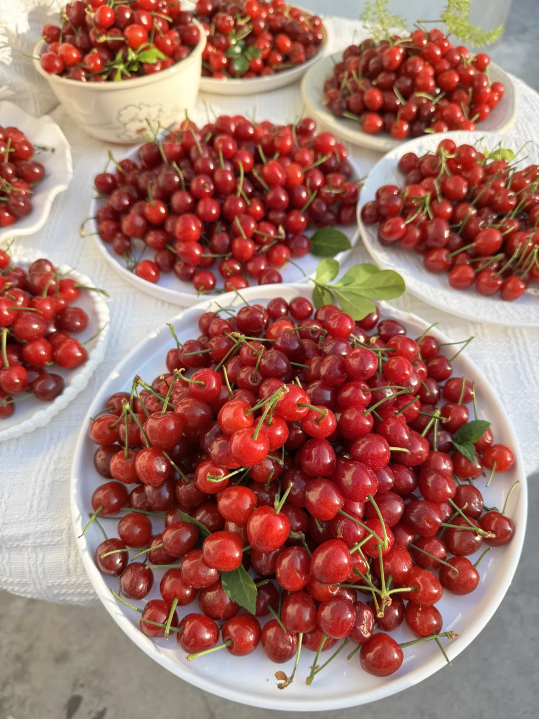 🍒是他让我成功戒掉了车厘子…