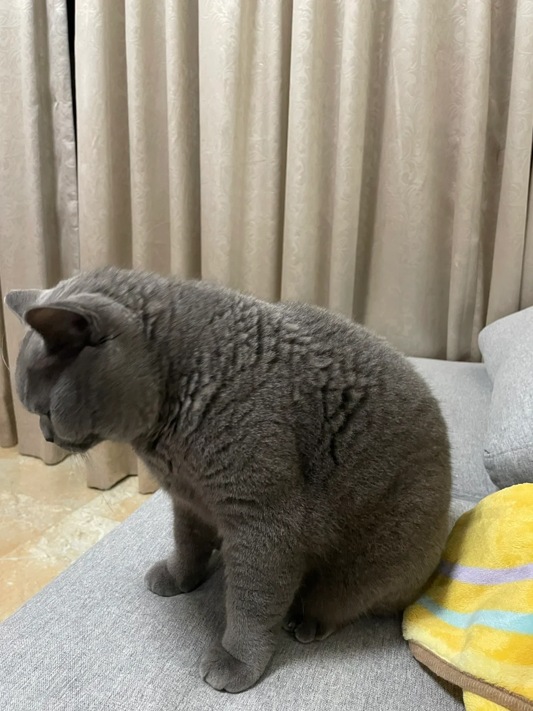 说了它两句，就开始生胖气了🤣
