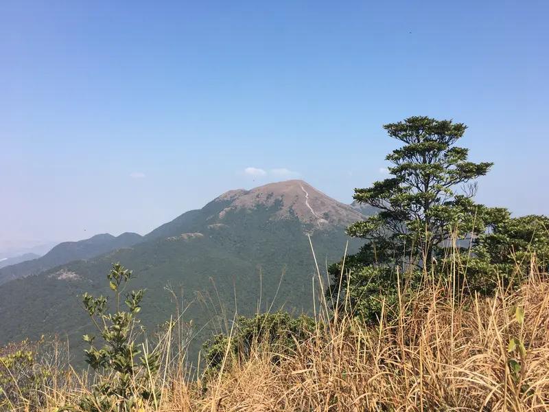 “含在嘴里玩了一下就中毒”，4月12日，男子银瓶山徒步误食野草中毒，4月13日，