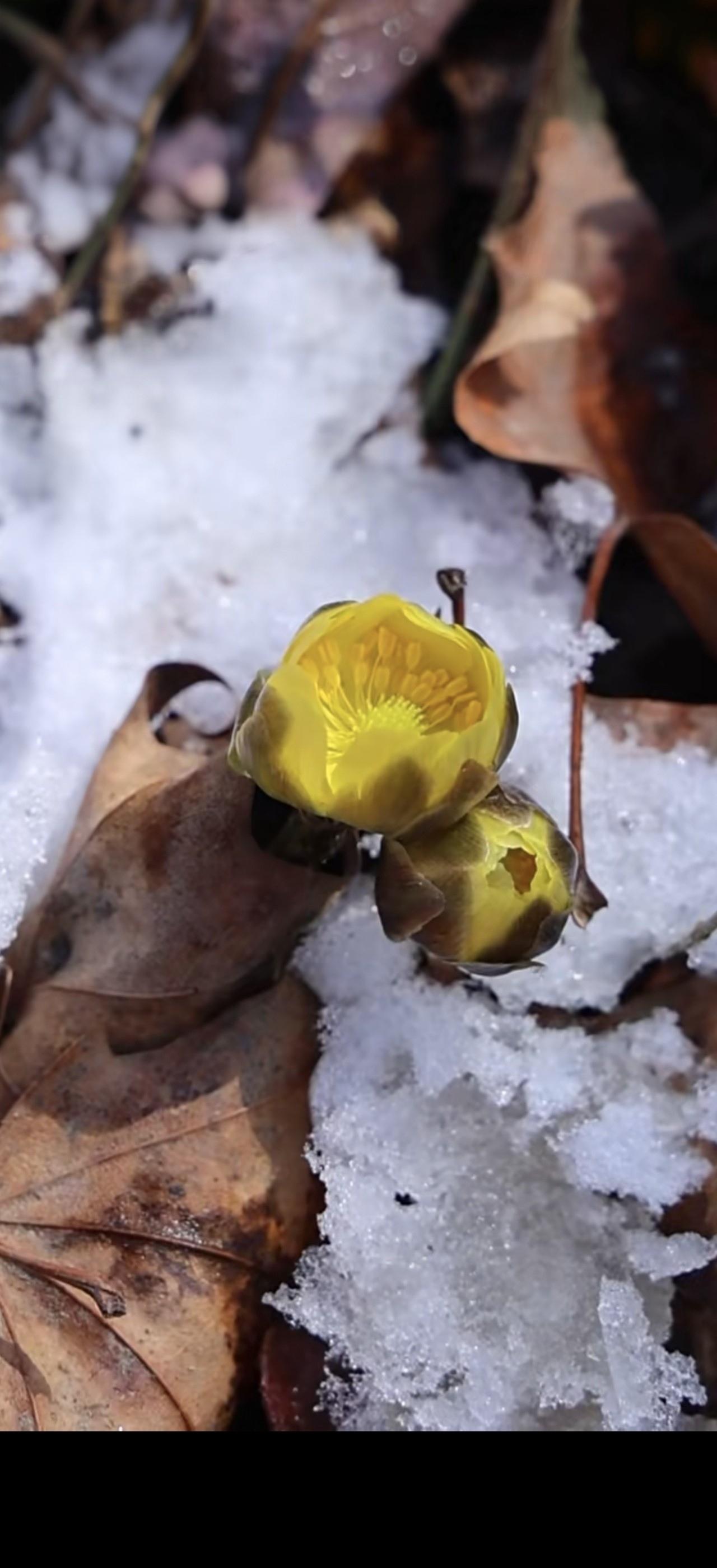 与痛风斗争的历程187
 
   新的一周悄然开启，天空阴云密布。昨日下了一整天