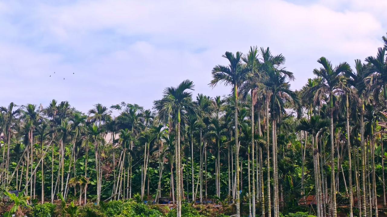 1. 岁月如歌歌岁月；人生似画画人生。
2. 岁月如歌歌岁月；时光若梦梦时光。