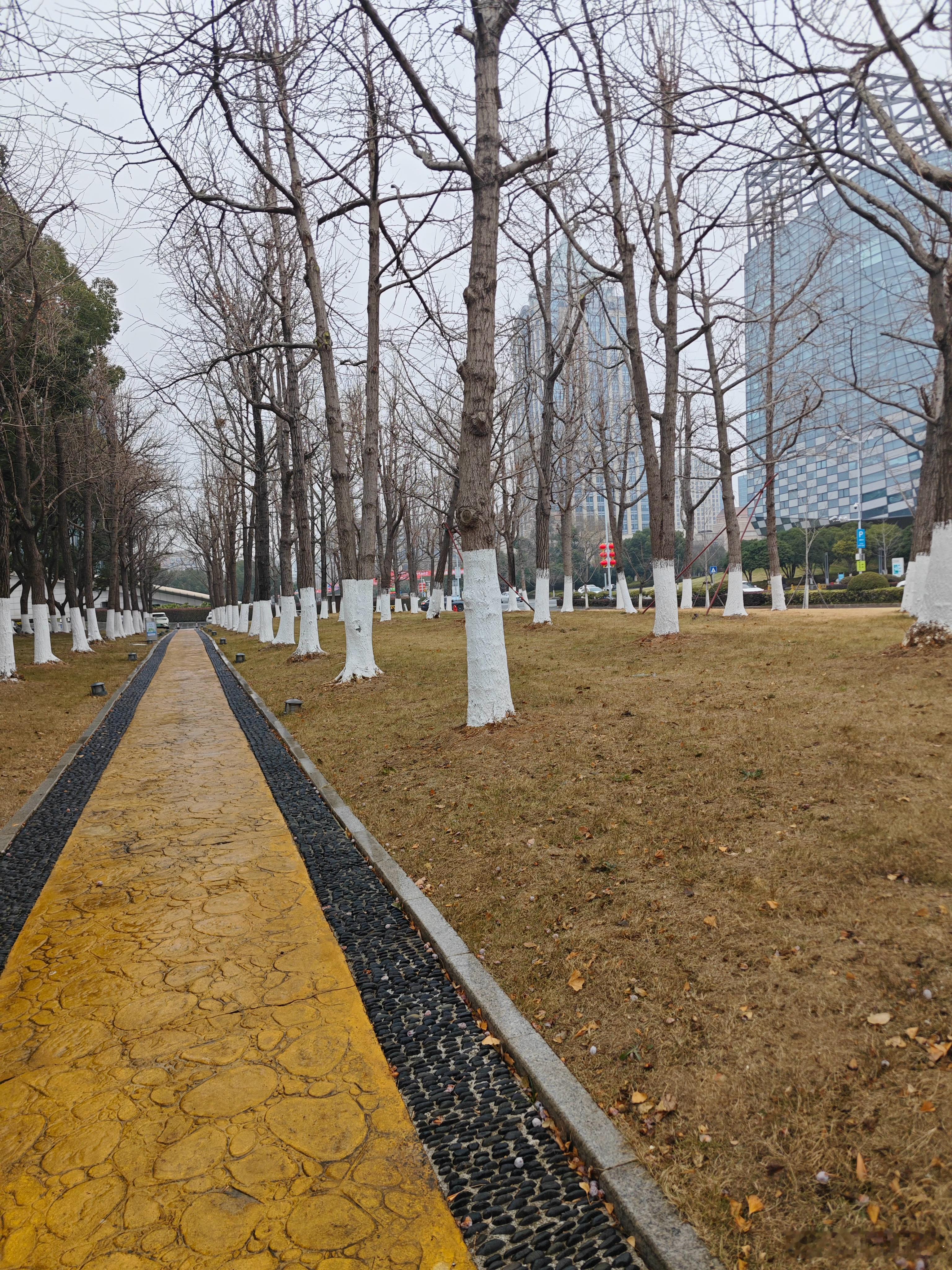 冬日光秃的枝桠下，这条暖黄色的小路像给城市铺了条温柔的地毯。虽然草木都在沉睡，但