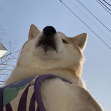 云岚热谈汽车