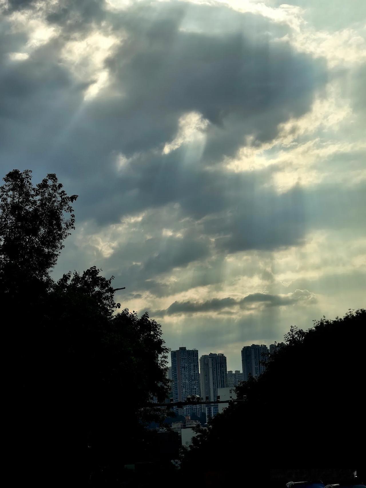 我发现今年看见丁达尔光的频率很高呀，最近一段时间仿佛是在不经意一抬头就能看到丁达