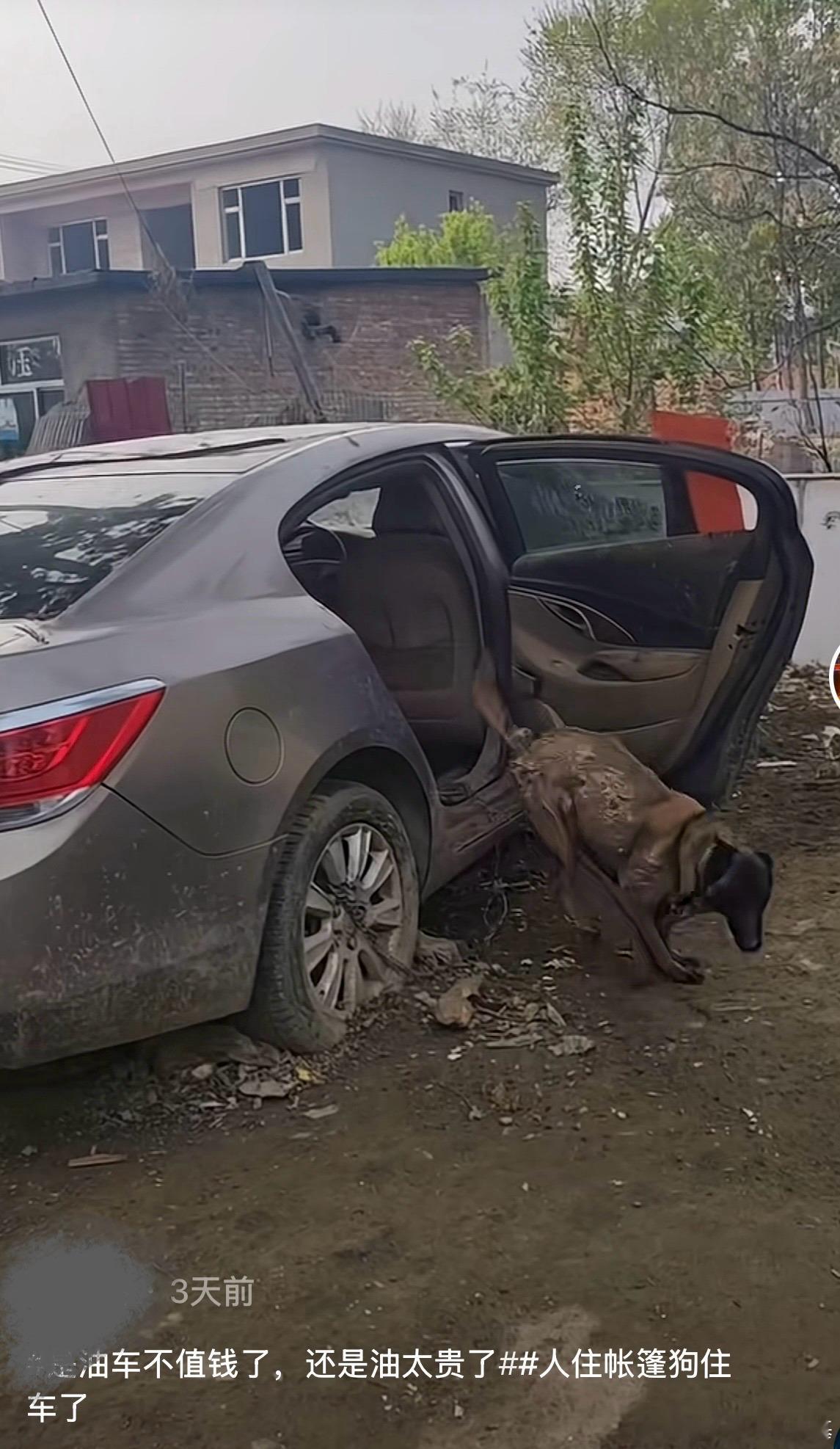 刚才在短视频看到，有网友拿残值不高的老油车当狗窝，这事感觉还挺有意思。估计比传统