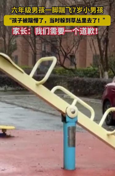 一个六年级的大男孩，在小区公园里玩的时候，突然一脚把一个才7岁的小男孩给踹飞了。