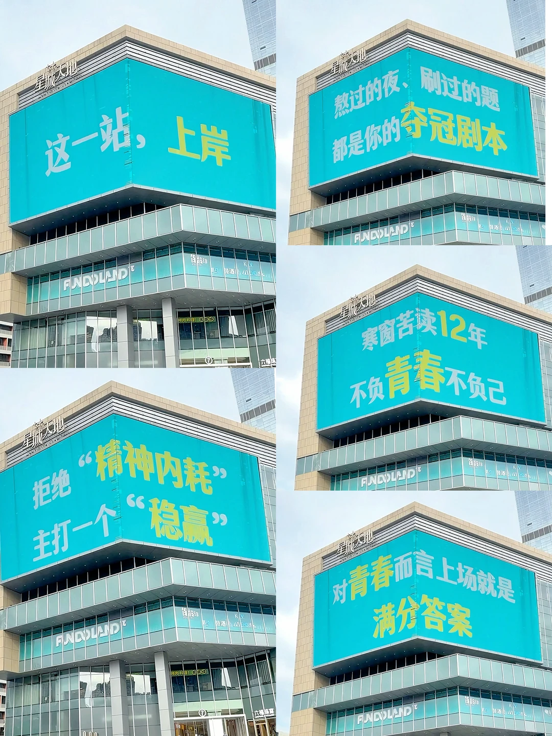 为高考生举牌✨这一站，全员上岸！