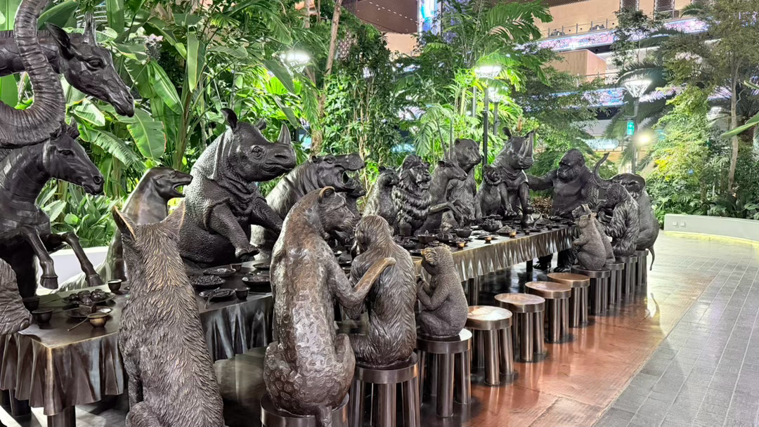来多哈转机，重庆人发出感叹：这不光环吗？ 