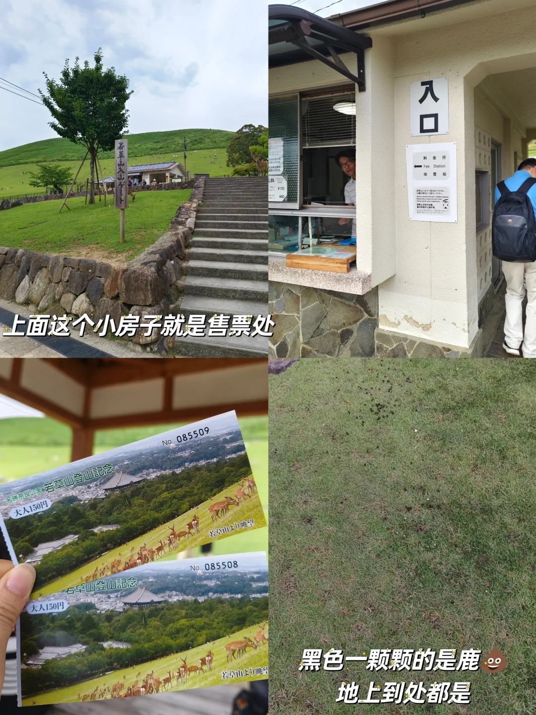 宇治奈良一日游，暴走3w步攻略‼️