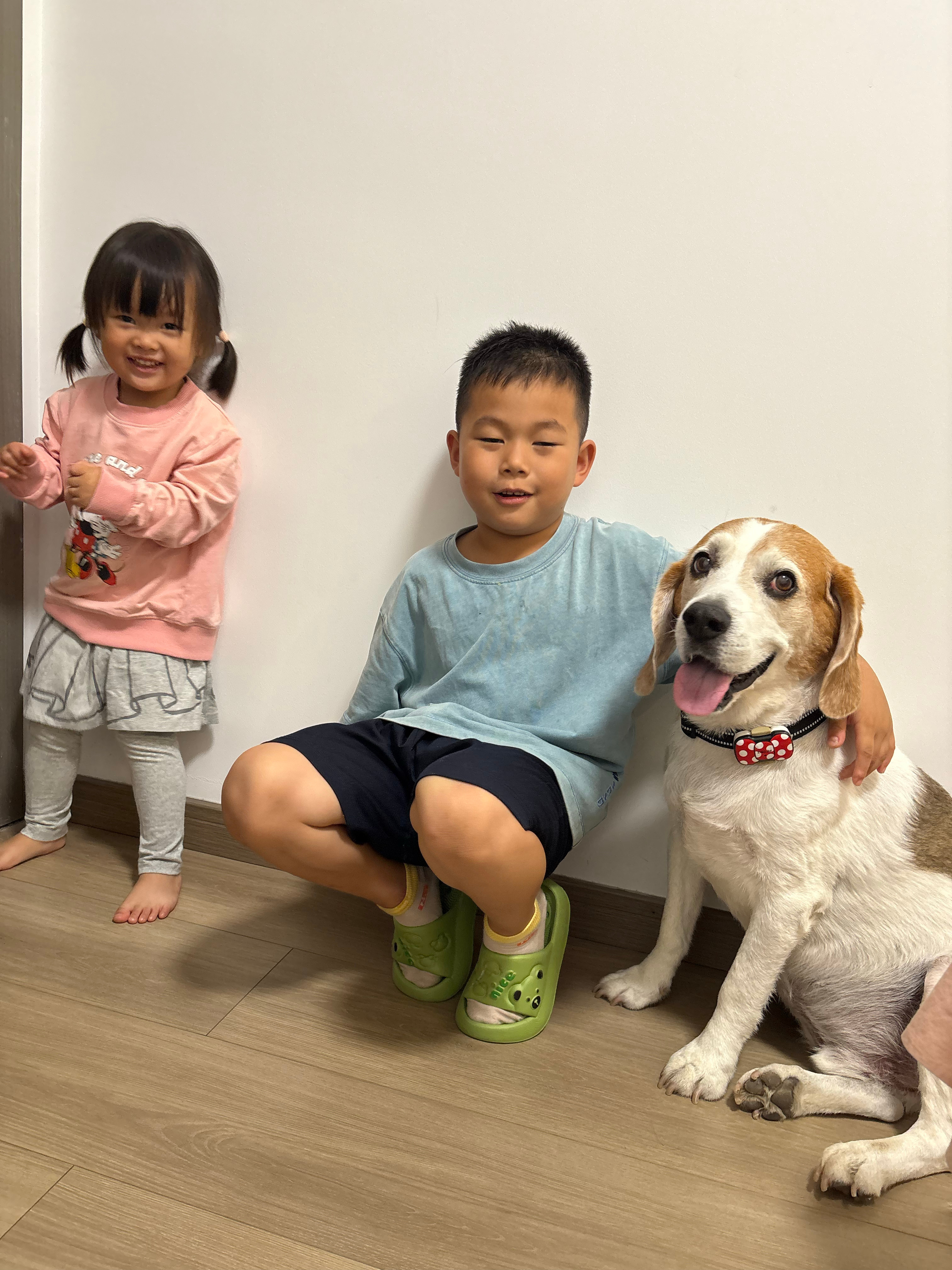 比格之家 ​​​