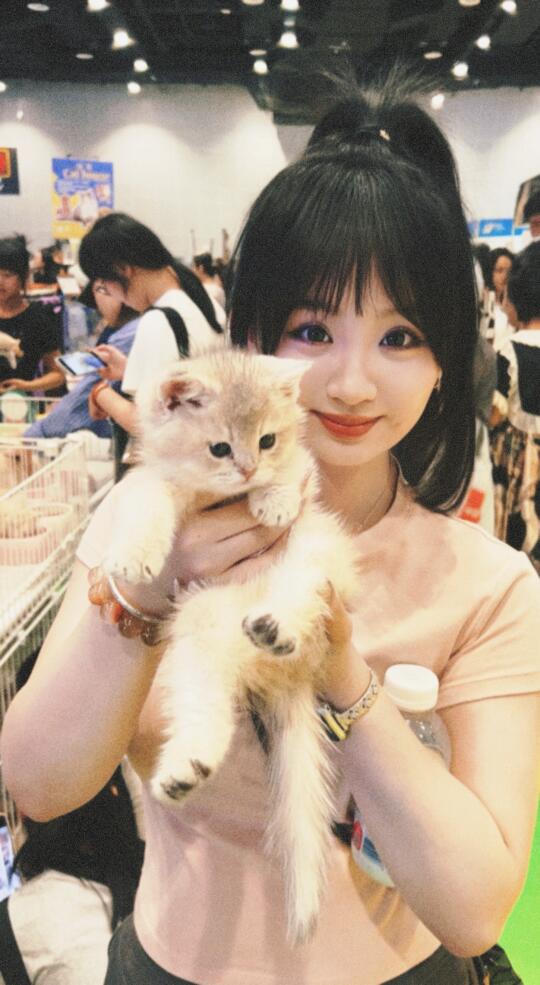 做我的猫🐱