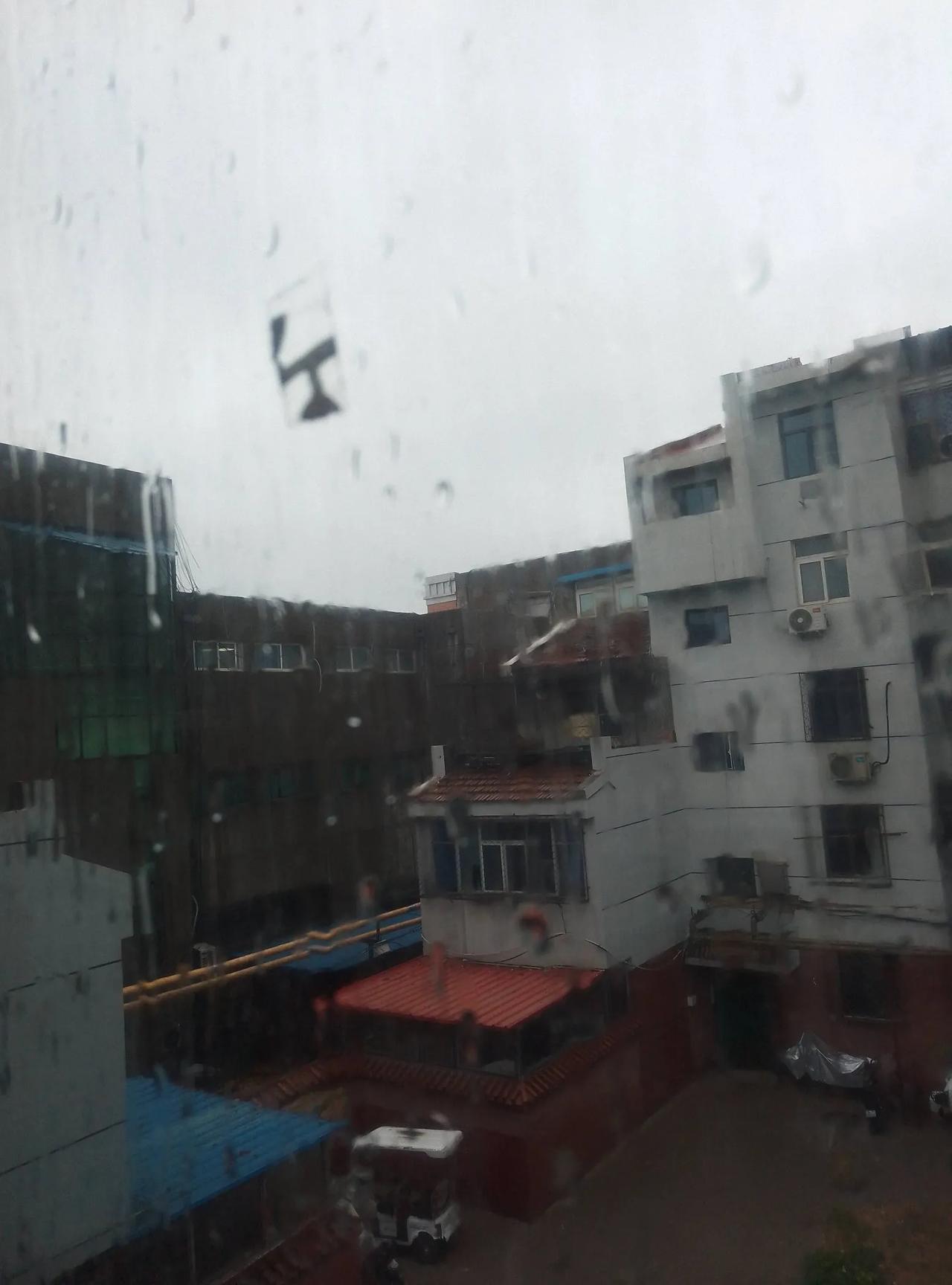 雨从昨天夜里一直下
现在依然淅淅沥沥的
一个人在家闭门不出
泡上一壶绿茶慢慢品