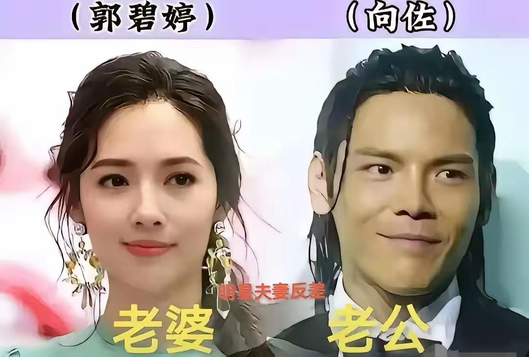 郭碧婷向佐
胡敬赵亮
杜若溪严屹宽
娱乐圈里的三对模范夫妻，你喜欢哪一对？