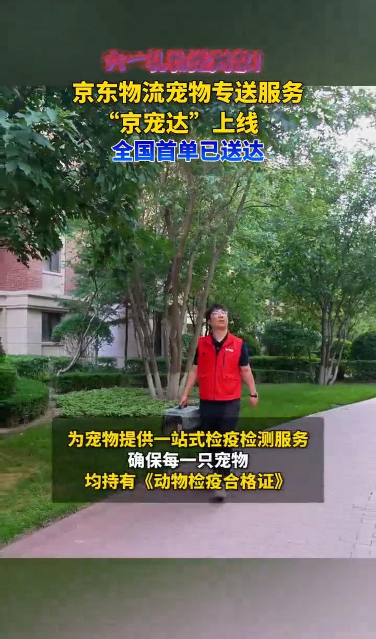 辽宁萌宠专送新标杆京宠达辽宁始发守护毛孩子安全从鞍山这座知名萌宠之都向外辐射，京